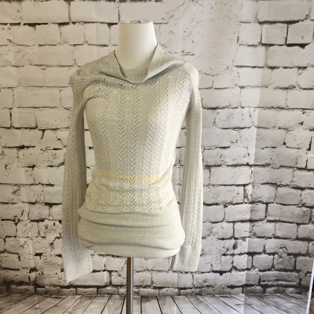 Silver/Light Grey Sweater (EUC)